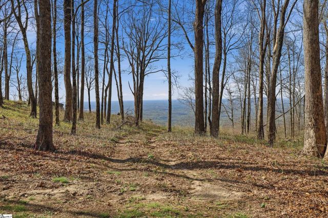 Rose Pink Trail, Landrum, SC 29356