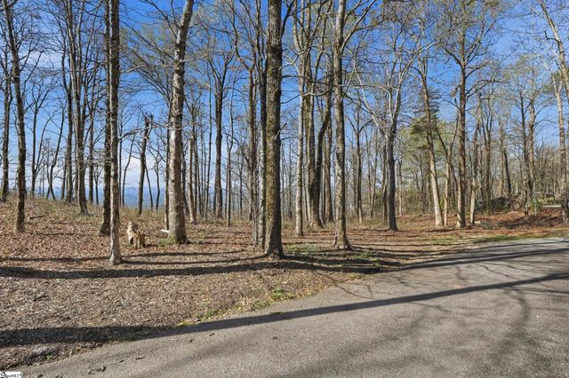 Rose Pink Trail, Landrum, SC 29356