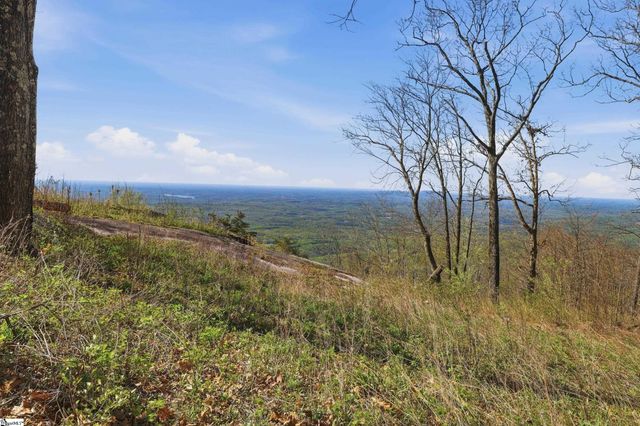 Rose Pink Trail, Landrum, SC 29356