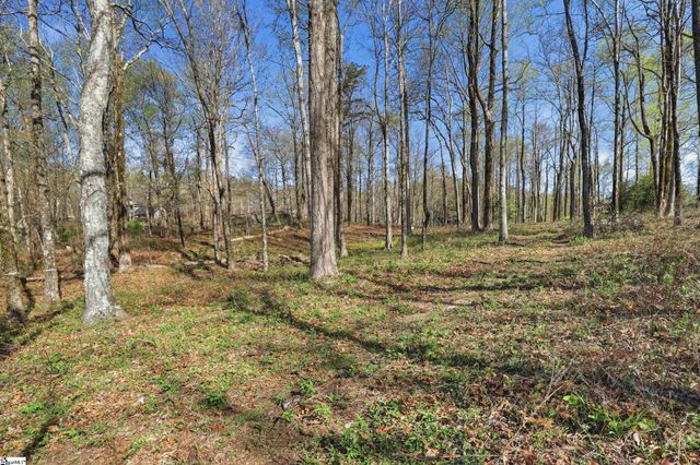 Rose Pink Trail, Landrum, SC 29356