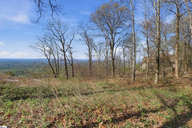 Rose Pink Trail, Landrum, SC 29356