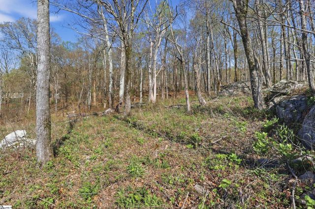 Rose Pink Trail, Landrum, SC 29356