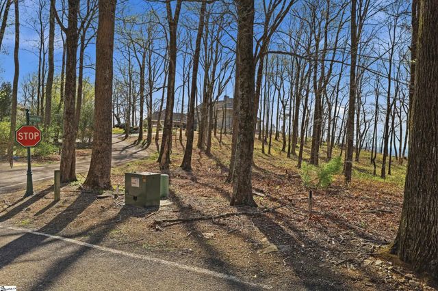 Rose Pink Trail, Landrum, SC 29356