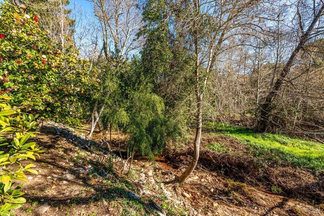 162 Bonnie Brook Dr, Napa, CA 94558