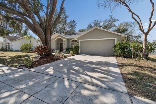 8443 RIDGEBROOK CIRCLE, Odessa, FL 33556