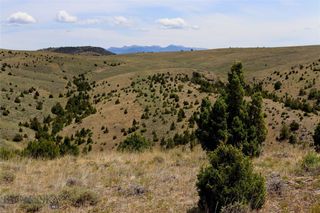 Lot 235 E Reservoir Cutoff Road, Manhattan, MT 59741
