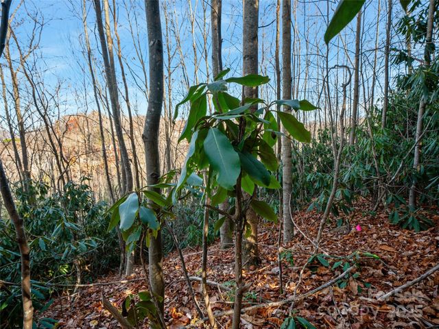 99999 Bay Laurel Lane, Hendersonville, NC 28791