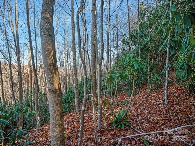 99999 Bay Laurel Lane, Hendersonville, NC 28791