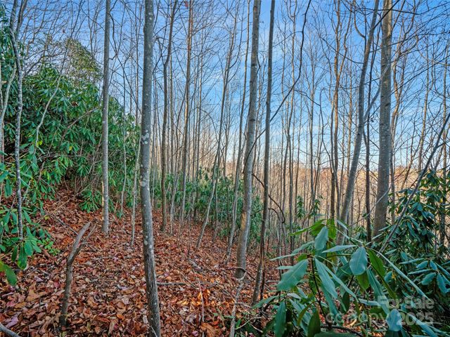 99999 Bay Laurel Lane, Hendersonville, NC 28791