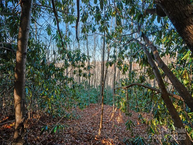 99999 Bay Laurel Lane, Hendersonville, NC 28791