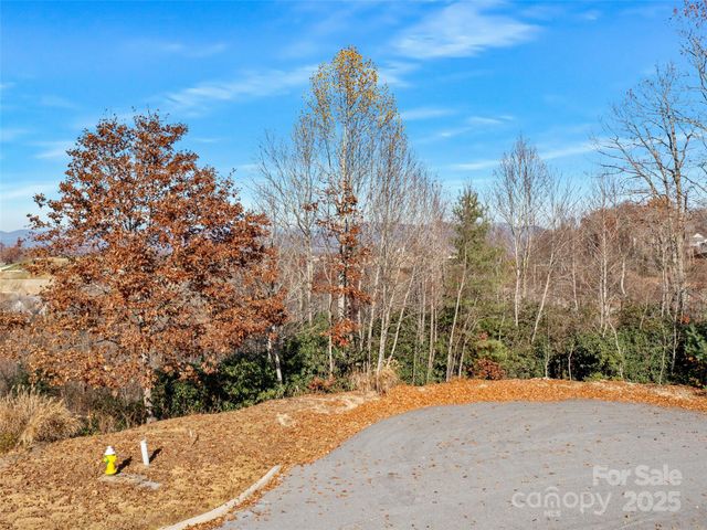99999 Bay Laurel Lane, Hendersonville, NC 28791