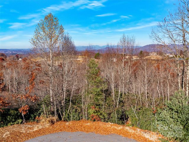 99999 Bay Laurel Lane, Hendersonville, NC 28791