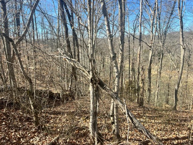 45 Shepperd Drive, Nancy, KY 42544