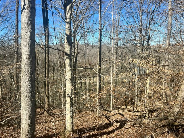 45 Shepperd Drive, Nancy, KY 42544