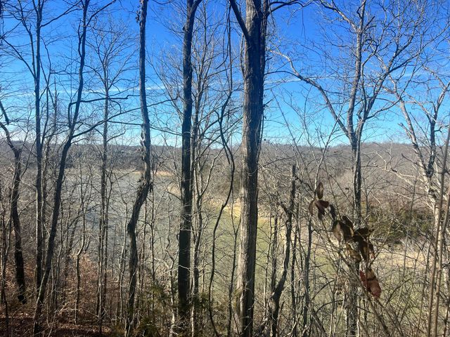 45 Shepperd Drive, Nancy, KY 42544