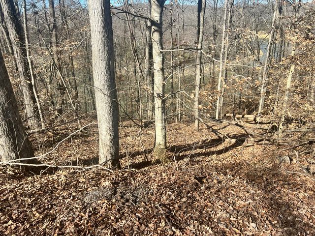 45 Shepperd Drive, Nancy, KY 42544