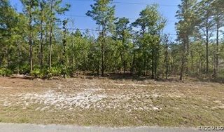 3641 W Birds Nest Drive, Beverly Hills, FL 34465
