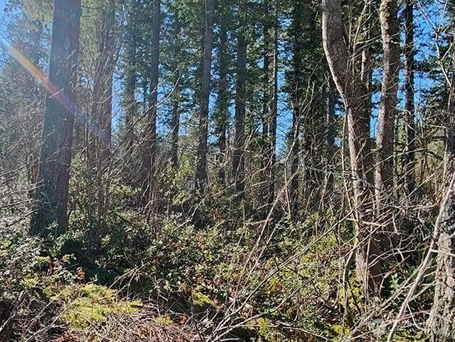 355 xx 312th ST Way SE, Enumclaw, WA 98022