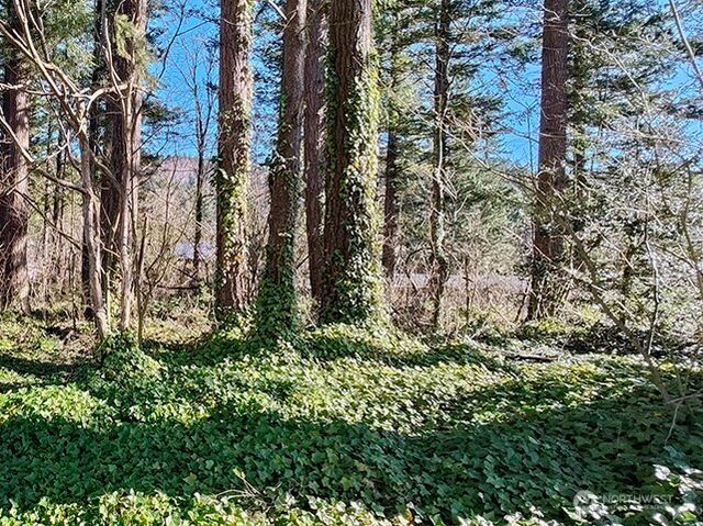 355 xx 312th ST Way SE, Enumclaw, WA 98022