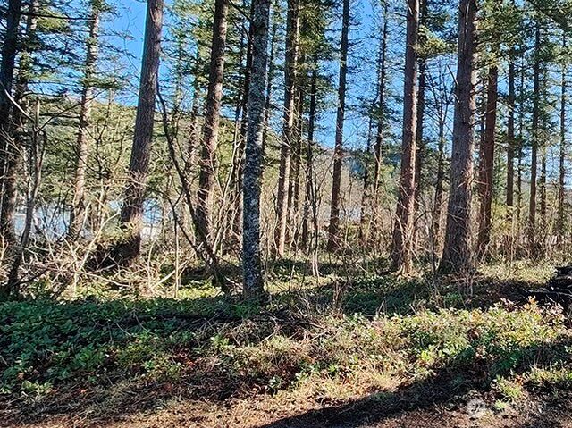 355 xx 312th ST Way SE, Enumclaw, WA 98022