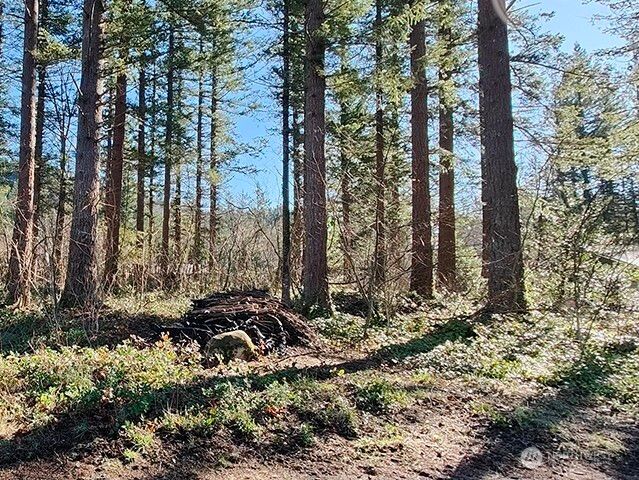 355 xx 312th ST Way SE, Enumclaw, WA 98022