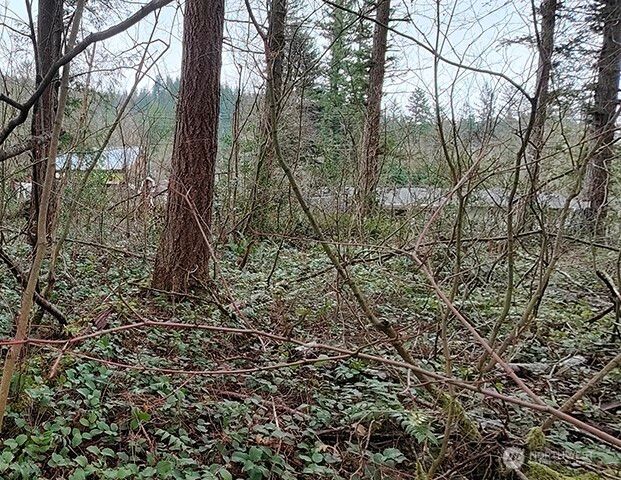 355 xx 312th ST Way SE, Enumclaw, WA 98022