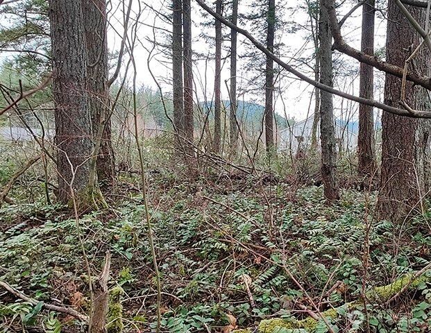 355 xx 312th ST Way SE, Enumclaw, WA 98022