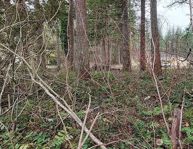 355 xx 312th ST Way SE, Enumclaw, WA 98022