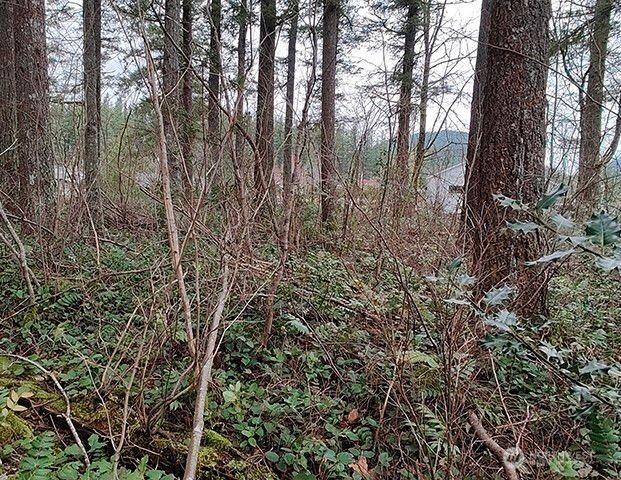 355 xx 312th ST Way SE, Enumclaw, WA 98022