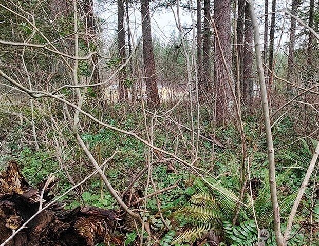 355 xx 312th ST Way SE, Enumclaw, WA 98022