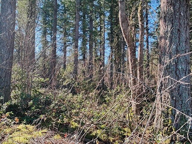 355 xx 312th ST Way SE, Enumclaw, WA 98022