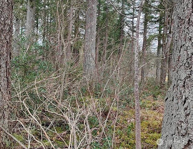 355 xx 312th ST Way SE, Enumclaw, WA 98022