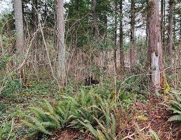 355 xx 312th ST Way SE, Enumclaw, WA 98022