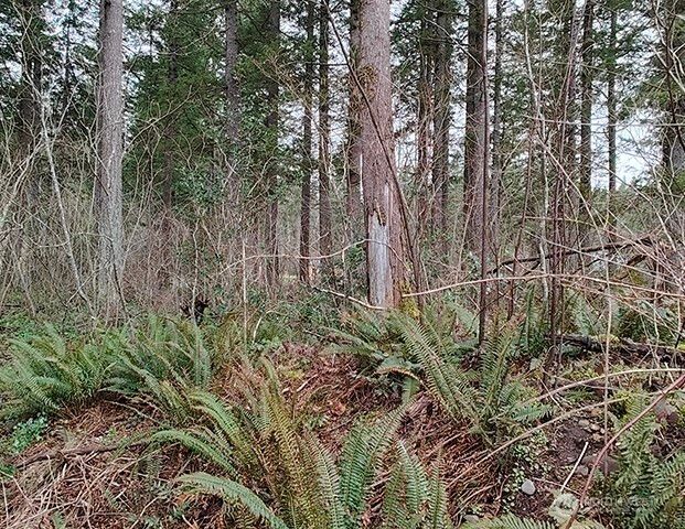 355 xx 312th ST Way SE, Enumclaw, WA 98022