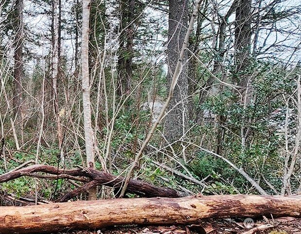 355 xx 312th ST Way SE, Enumclaw, WA 98022