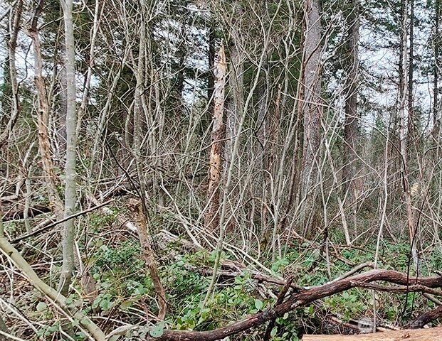 355 xx 312th ST Way SE, Enumclaw, WA 98022