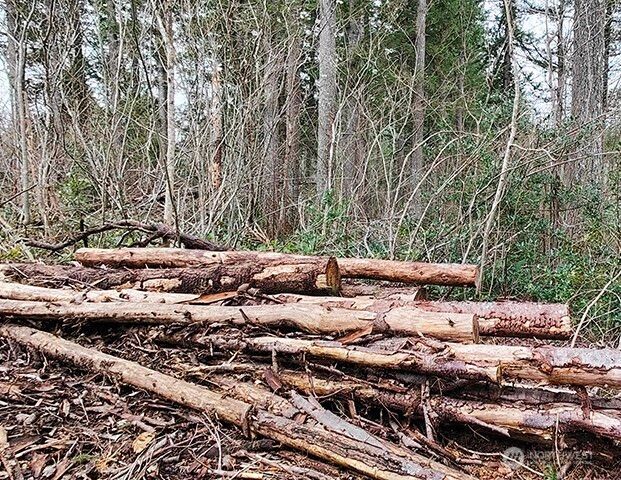 355 xx 312th ST Way SE, Enumclaw, WA 98022