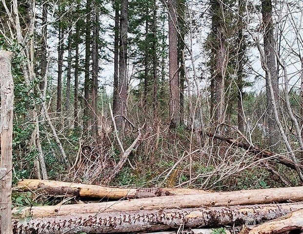 355 xx 312th ST Way SE, Enumclaw, WA 98022