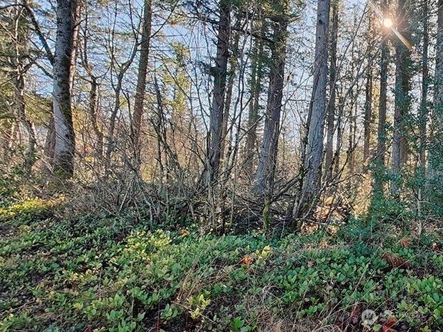 355 xx 312th ST Way SE, Enumclaw, WA 98022