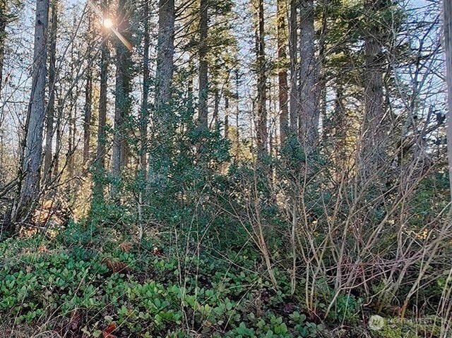 355 xx 312th ST Way SE, Enumclaw, WA 98022