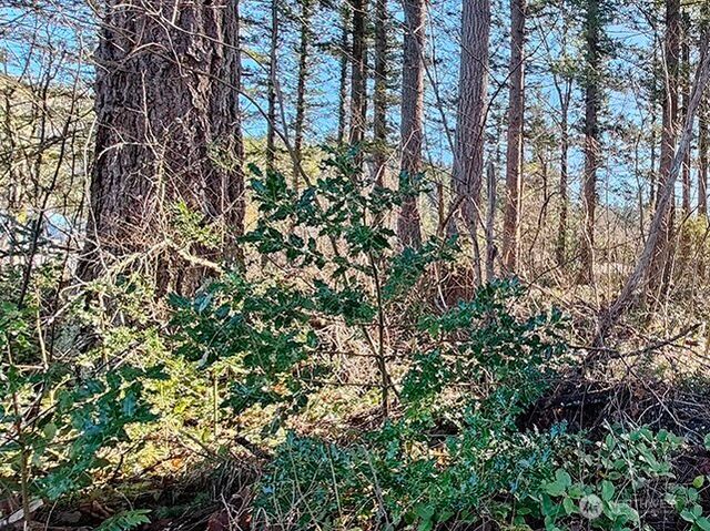 355 xx 312th ST Way SE, Enumclaw, WA 98022