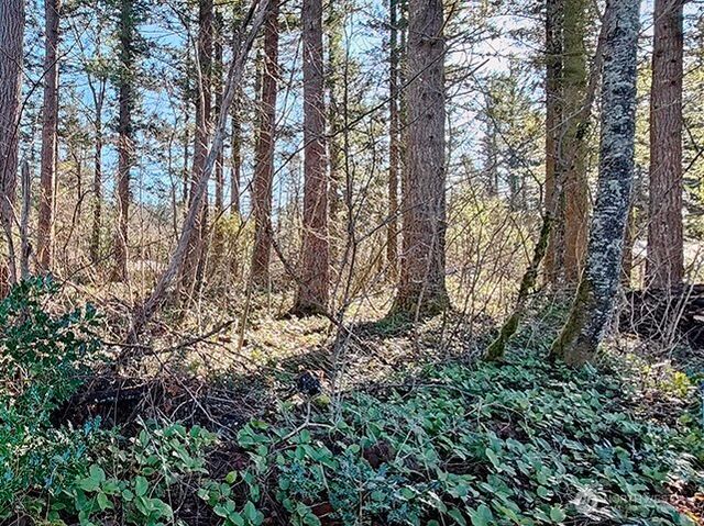 355 xx 312th ST Way SE, Enumclaw, WA 98022