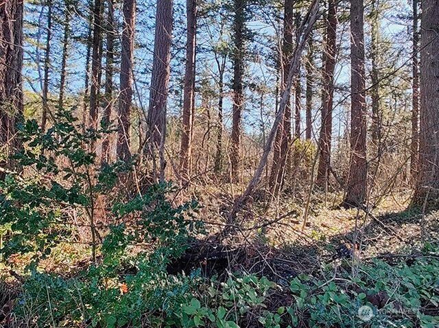 355 xx 312th ST Way SE, Enumclaw, WA 98022