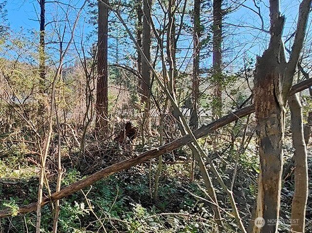 355 xx 312th ST Way SE, Enumclaw, WA 98022