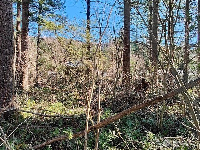 355 xx 312th ST Way SE, Enumclaw, WA 98022