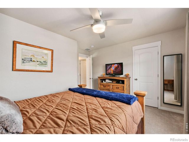 4448 Haymill Court, Timnath, CO 80547