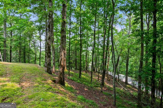 100 Oboe Court, Ellijay, GA 30540