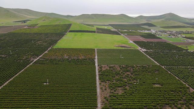 18376 Rd 248, Porterville, CA 93257