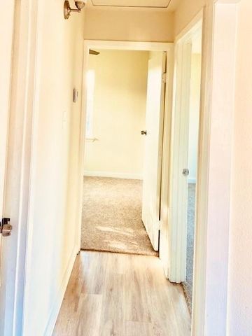 1214 Des Jardines Street BACK, Houston, TX 77023