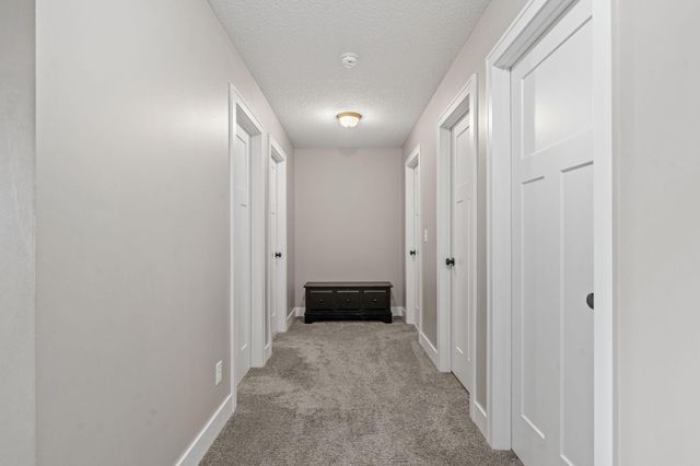 305 Art Street NW, New Prague, MN 56071